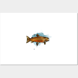 Swedish Brown Trout Posters and Art